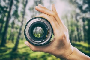 photography view camera photographer lens forest trees lense through video photo digital glass hand blurred focus people concept - stock image